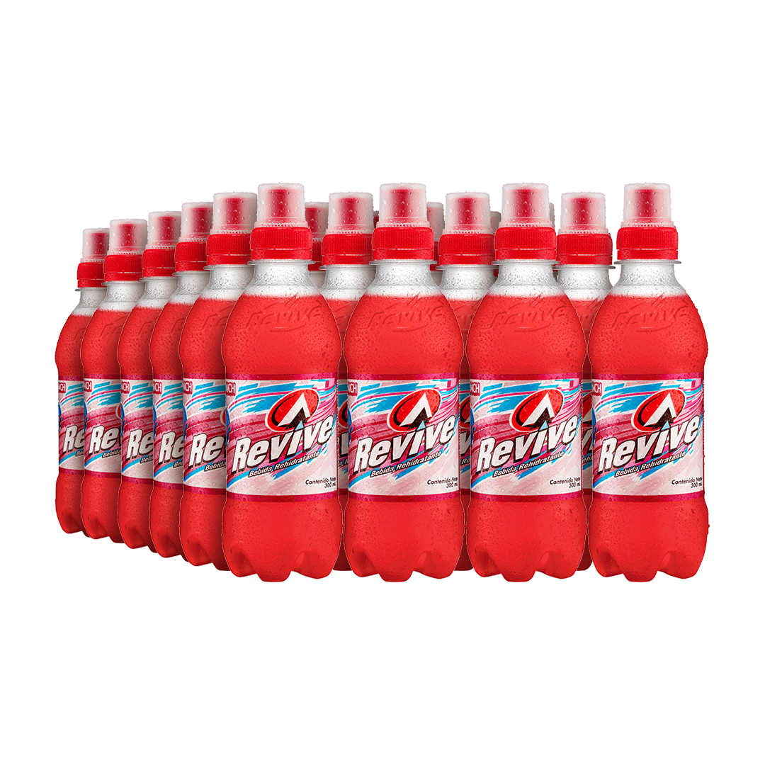 Revive Pocket Ponche de frutas 24 pack